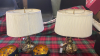 BOX LAMPS PICTURE & TRAY ETC - 6