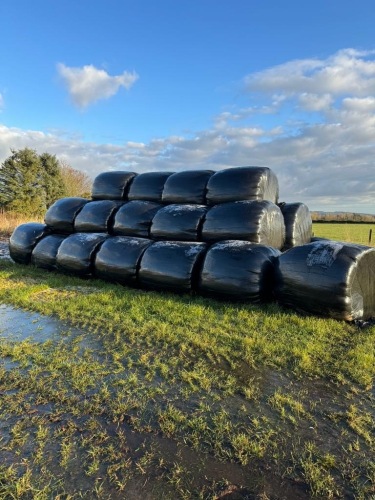 30 BALES OF SILAGE