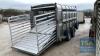 IFOR WILLIAMS TA510 C/W SHEEP DECKS/ DIVSIONS - 5