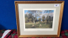 BOX- WOODLAND GRAZING