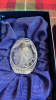 FABERGE EGG ETCHED CAT