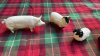 BOX-BESWICK PIG SHEEP & 1 OTHER