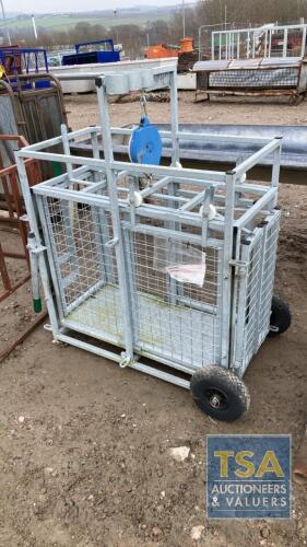 SHEEP WEIGH CRATE