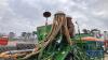 AMAZONE KG POWER HARROW 2014 ADP SPECIAL 2004 C/W PTO, SIDE - 6