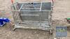 SHEEP TURNOVER CRATE - 2