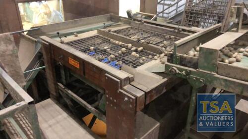 Schouten Double Grading Line c/w 2 No. Roller/Picking Tables,