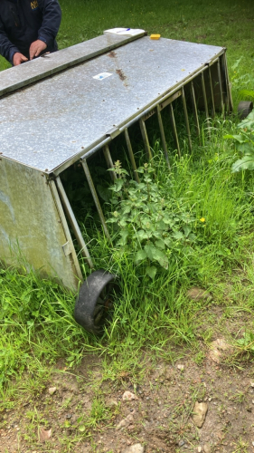 IAE GALVANISED SHEEP CREEP FEEDER