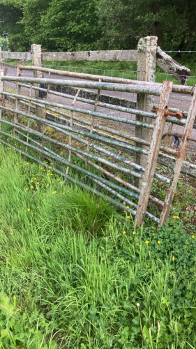 2 NO 9FT METAL GATES