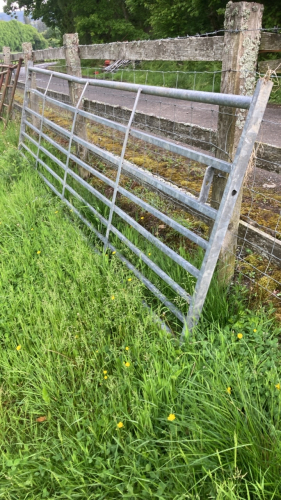 1 NO 12FT GALVANISED GATE