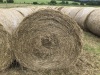 Haylage