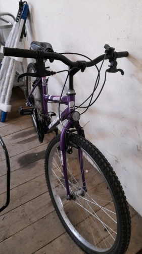 UNIVERSAL EXTREME BICYCLE