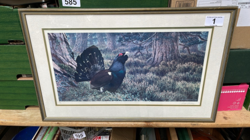 LTD EDITION PICTURE CAPERCAILLIE