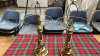 PAIR LAMPS- NOT BRASS