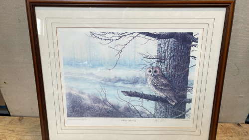 LTD EDITION PRINT OWL