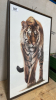 TIGER PICTURE
