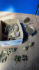 BOX OF BRASS WARE