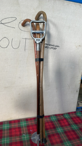 WALKING STICKS