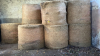 BALES HAY
