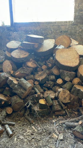 FIREWOOD