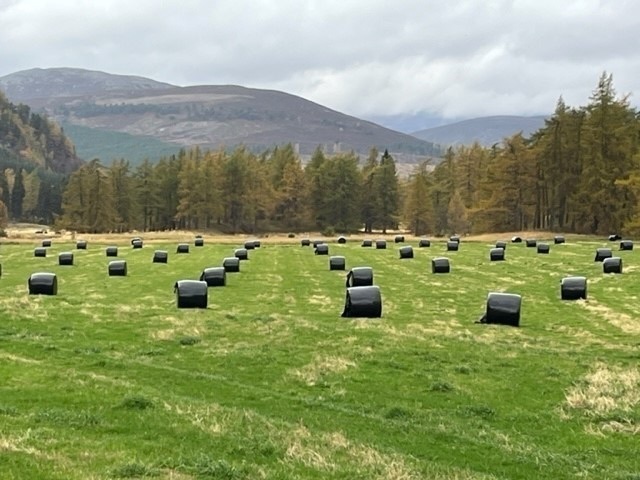 Silage/Haylage