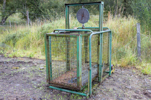 Weigh crate