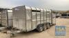 IFOR WILLIAMS 3 AXLE LIVESTOCK TRAILER - 2