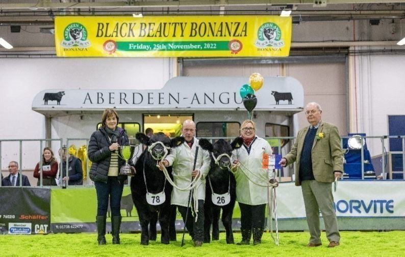 VIEWING OF THE EXCHANGE JUDGING - BLACK BEAUTY BONANZA