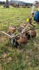 WEBB SEEDER