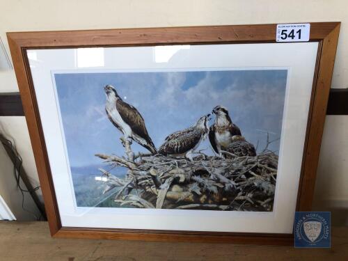 LIMITED EDITION PRINT BIRDS 422/ 1500 BY J PRIGMORE