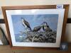 LIMITED EDITION PRINT BIRDS 422/ 1500 BY J PRIGMORE